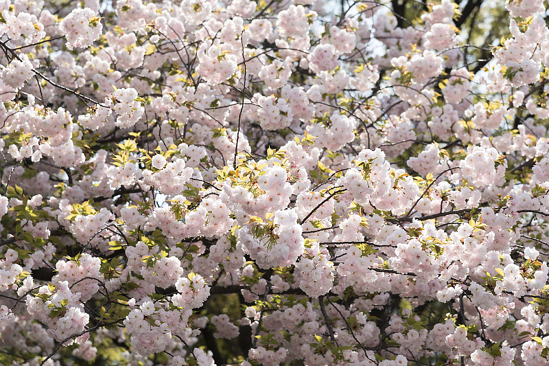image0173