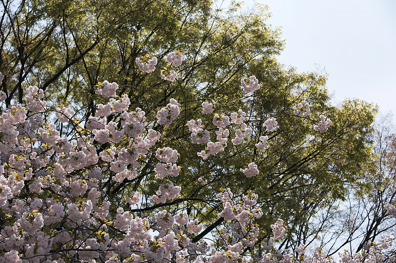 image0174