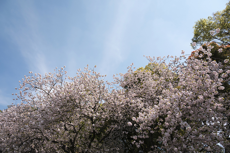 image0175