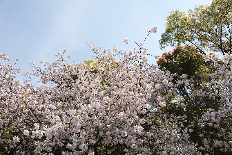 image0176