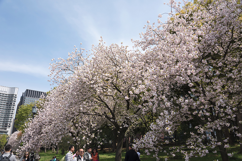 image0177