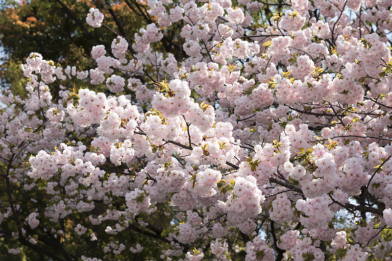 image0179
