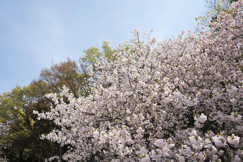 image0189