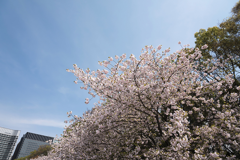 image0193