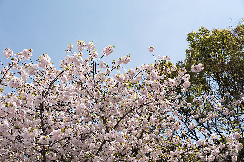 image0195