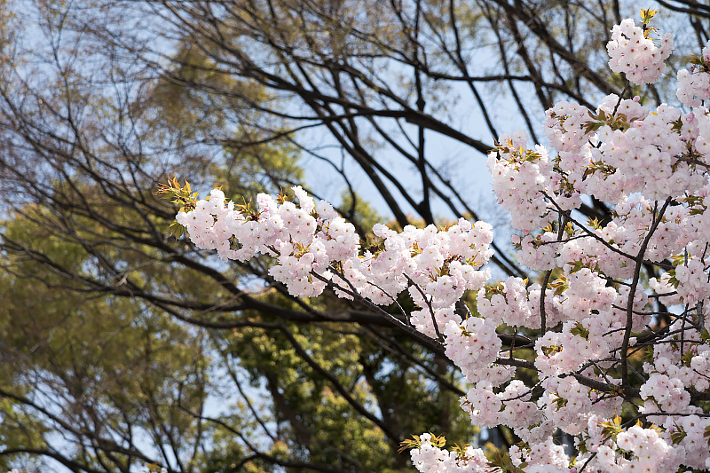 image0215
