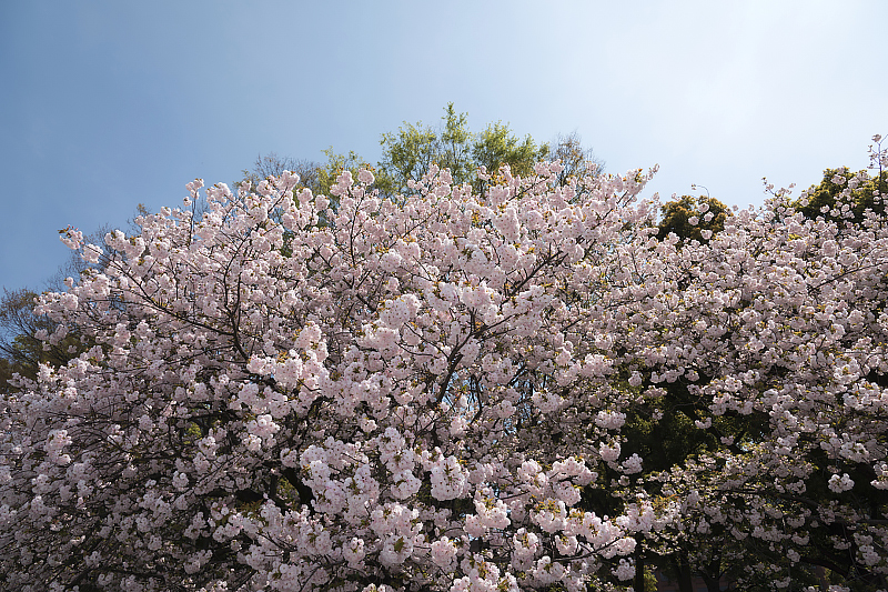 image0218