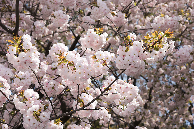 image0219