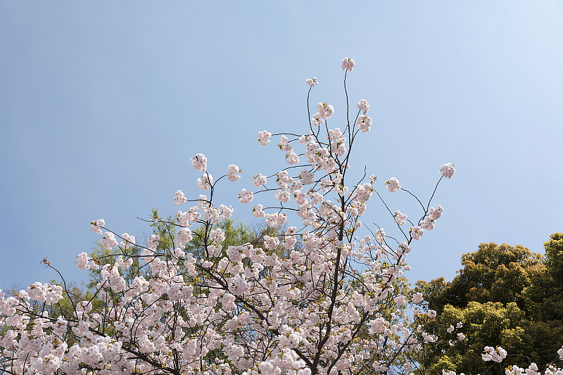 image0224