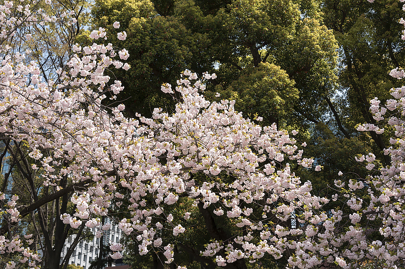 image0228