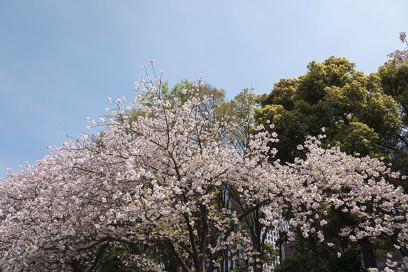image0229