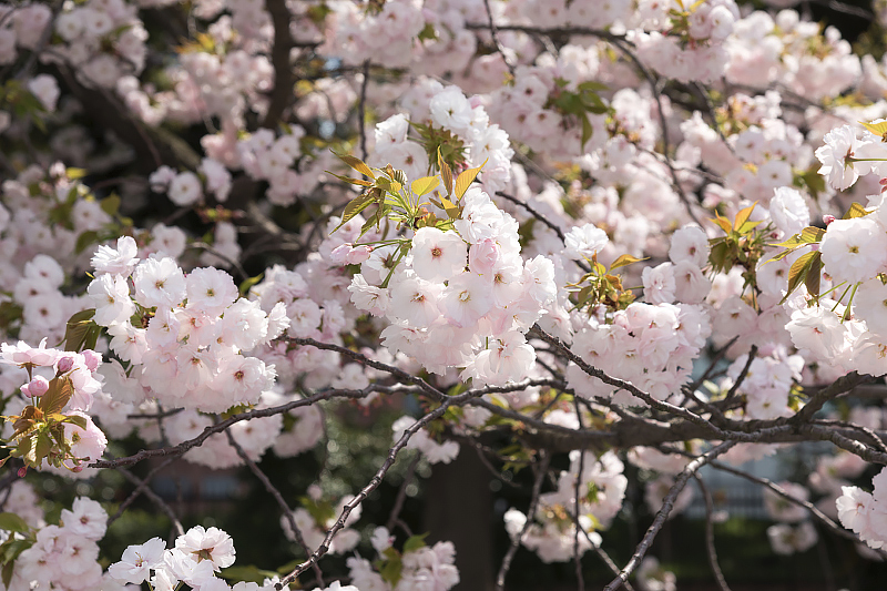 image0230