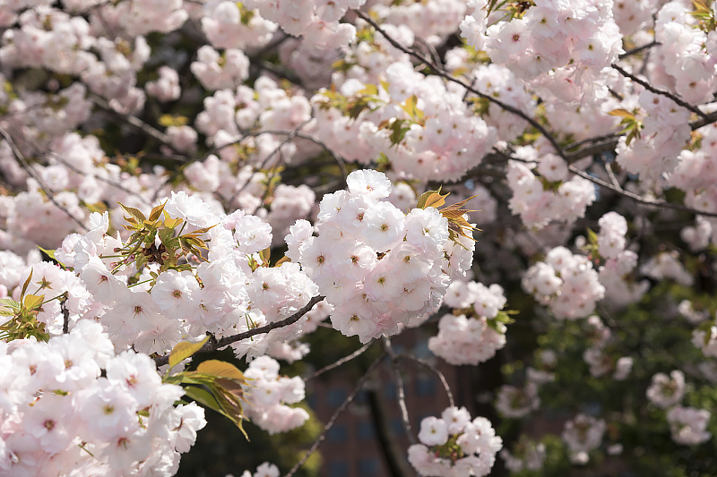 image0234