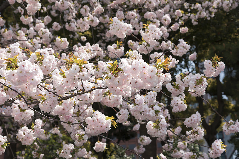 image0235