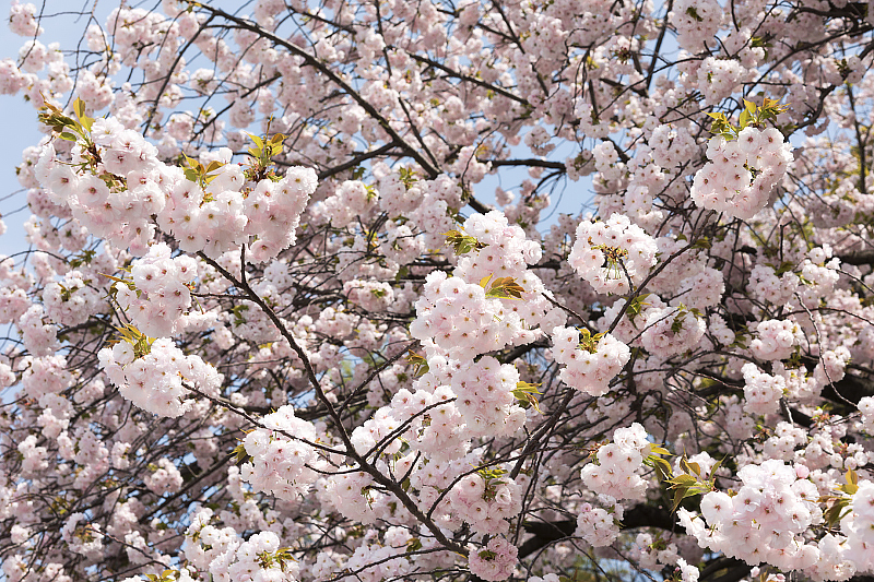 image0236