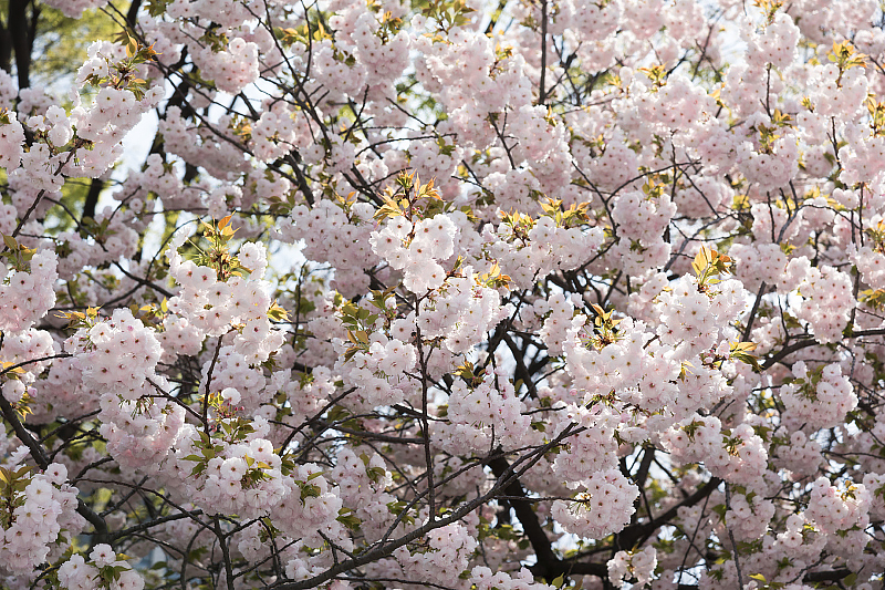 image0250