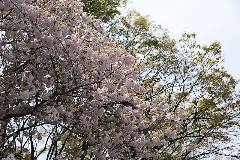 image0251