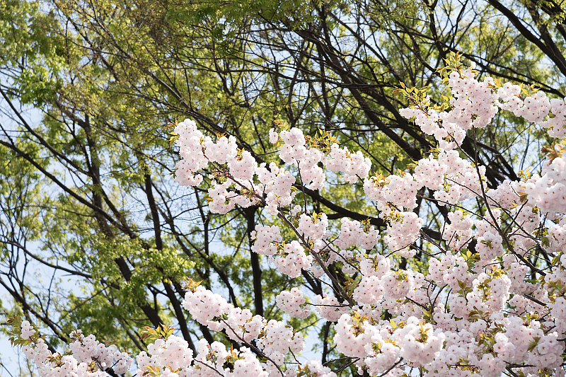 image0252