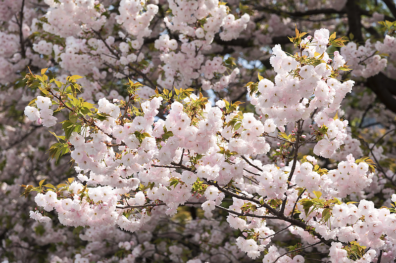 image0255