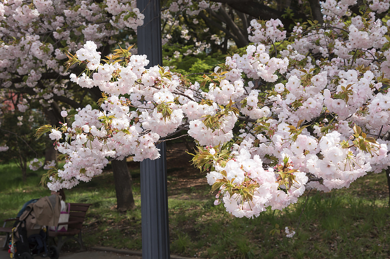 image0257
