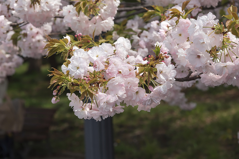 image0258