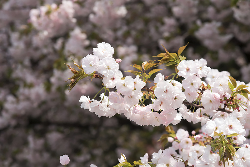 image0259