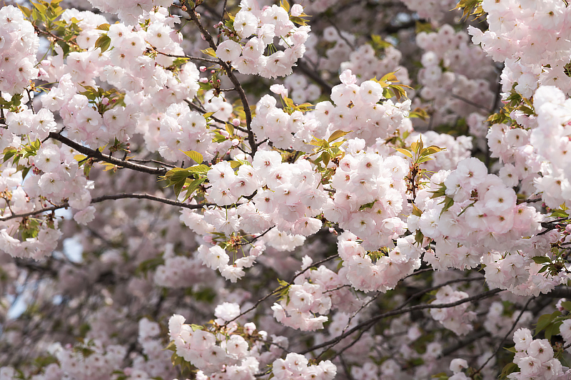 image0260