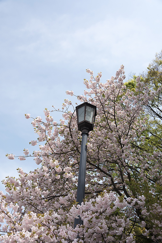 image0266