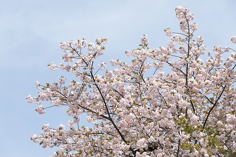 image0288