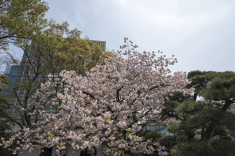 image0290