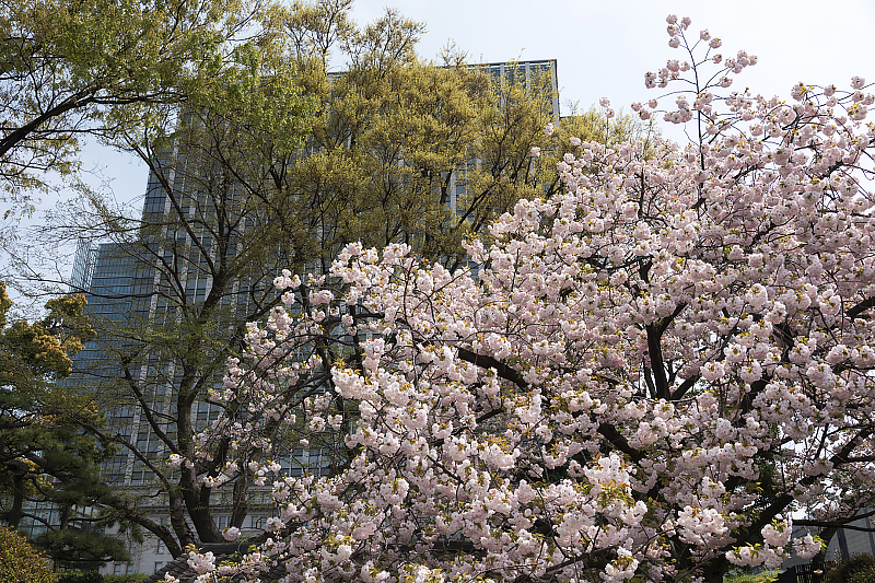 image0292
