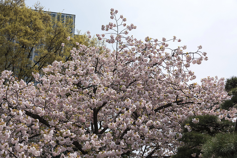 image0293