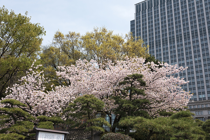 image0294