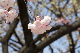 image0134