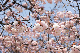 image0142