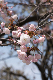 image0144