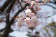 image0147