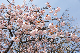 image0149
