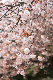 image0152