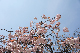 image0154