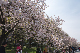 image0157