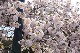 image0158