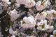 image0164