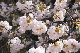 image0165
