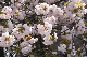 image0166