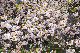 image0167