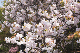 image0170