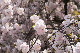 image0171