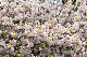 image0173