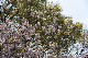 image0174